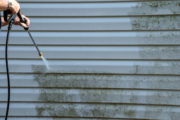 Best Siding Removal and Disposal  in Asheville, NC
